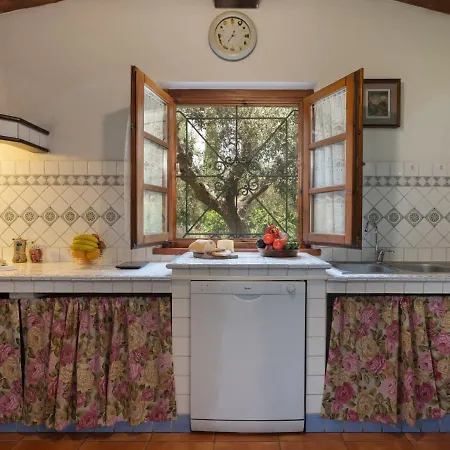 Bouganville By Interhome Villa Bibbona